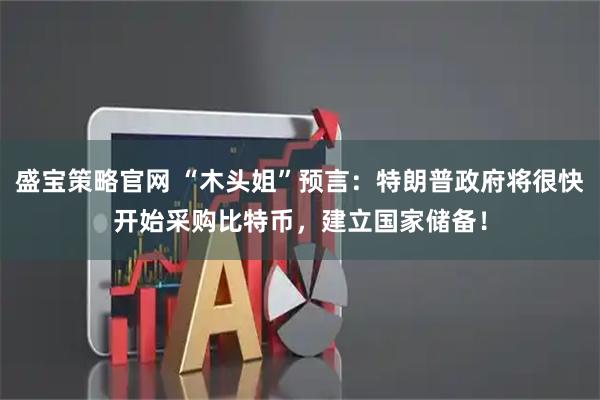 盛宝策略官网 “木头姐”预言：特朗普政府将很快开始采购比特币，建立国家储备！